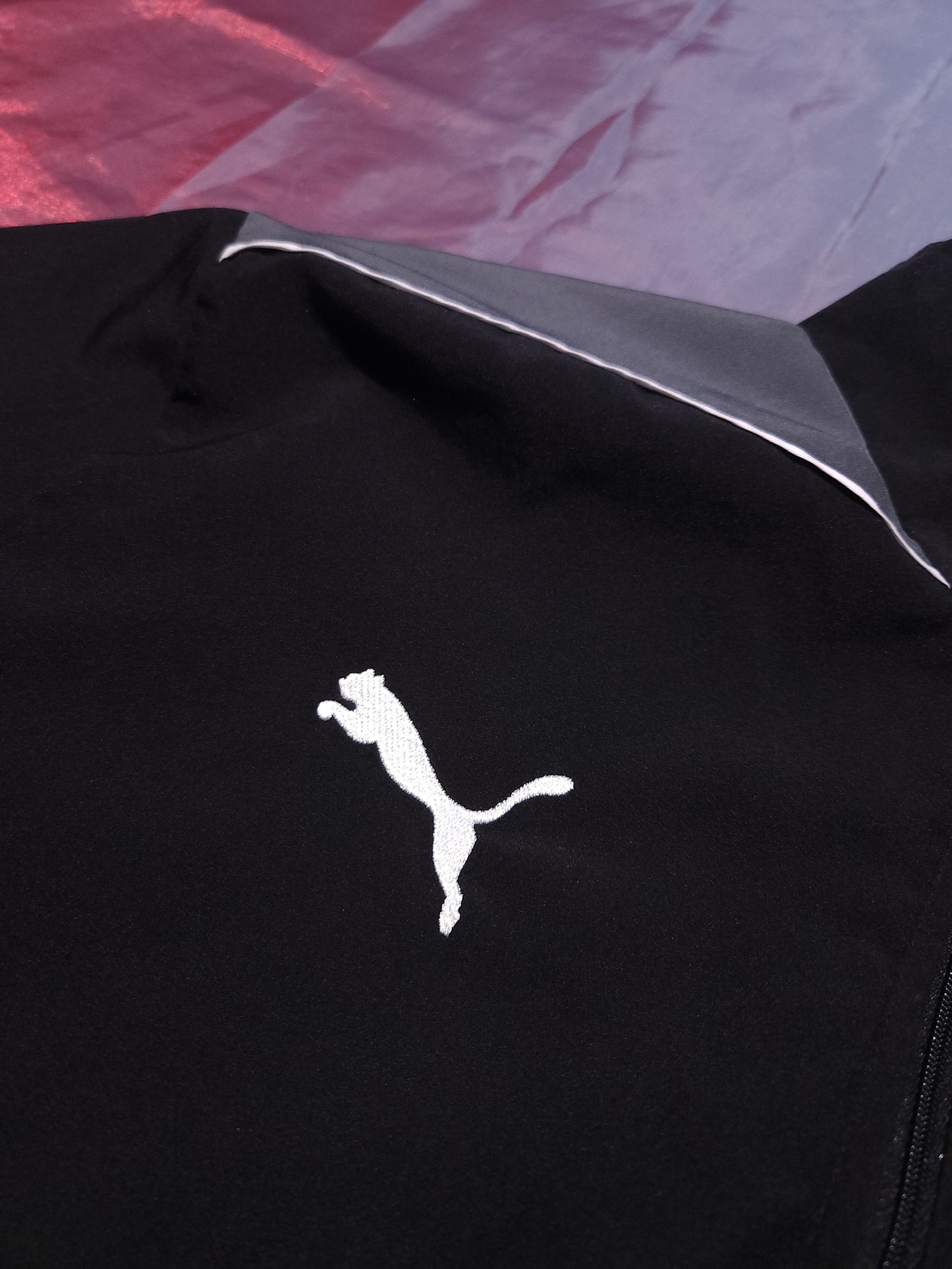PUMA Ветровка/Мъжка М