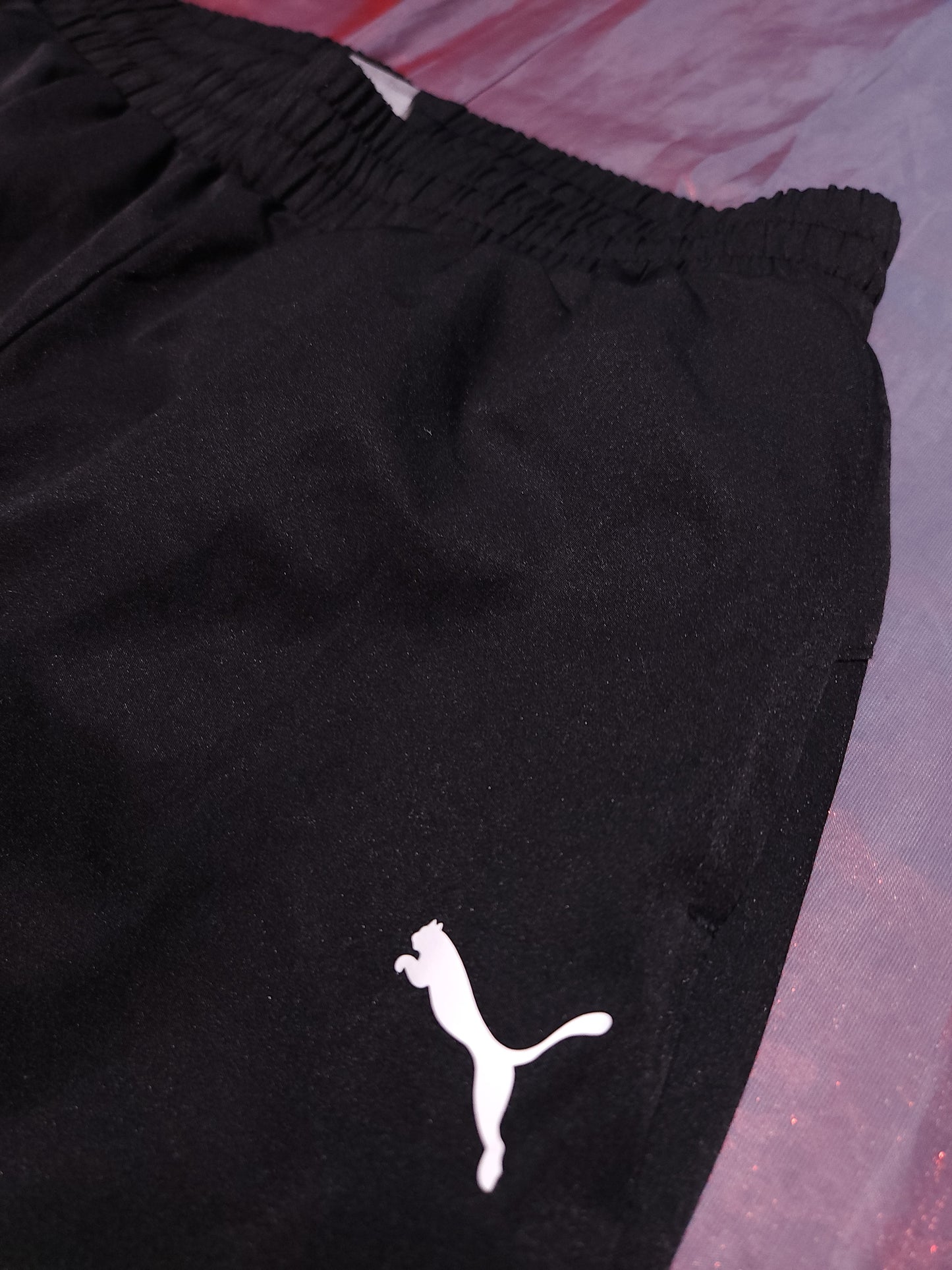 PUMA Долнище/Мъжко S
