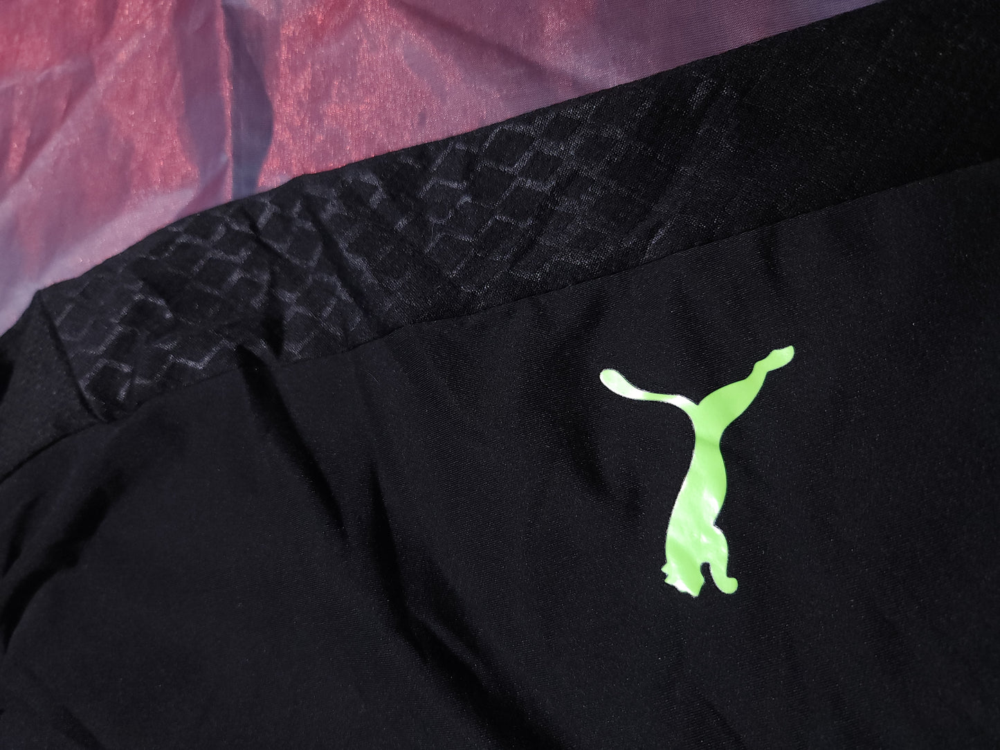 Puma EVO Долнище Мъжко /S