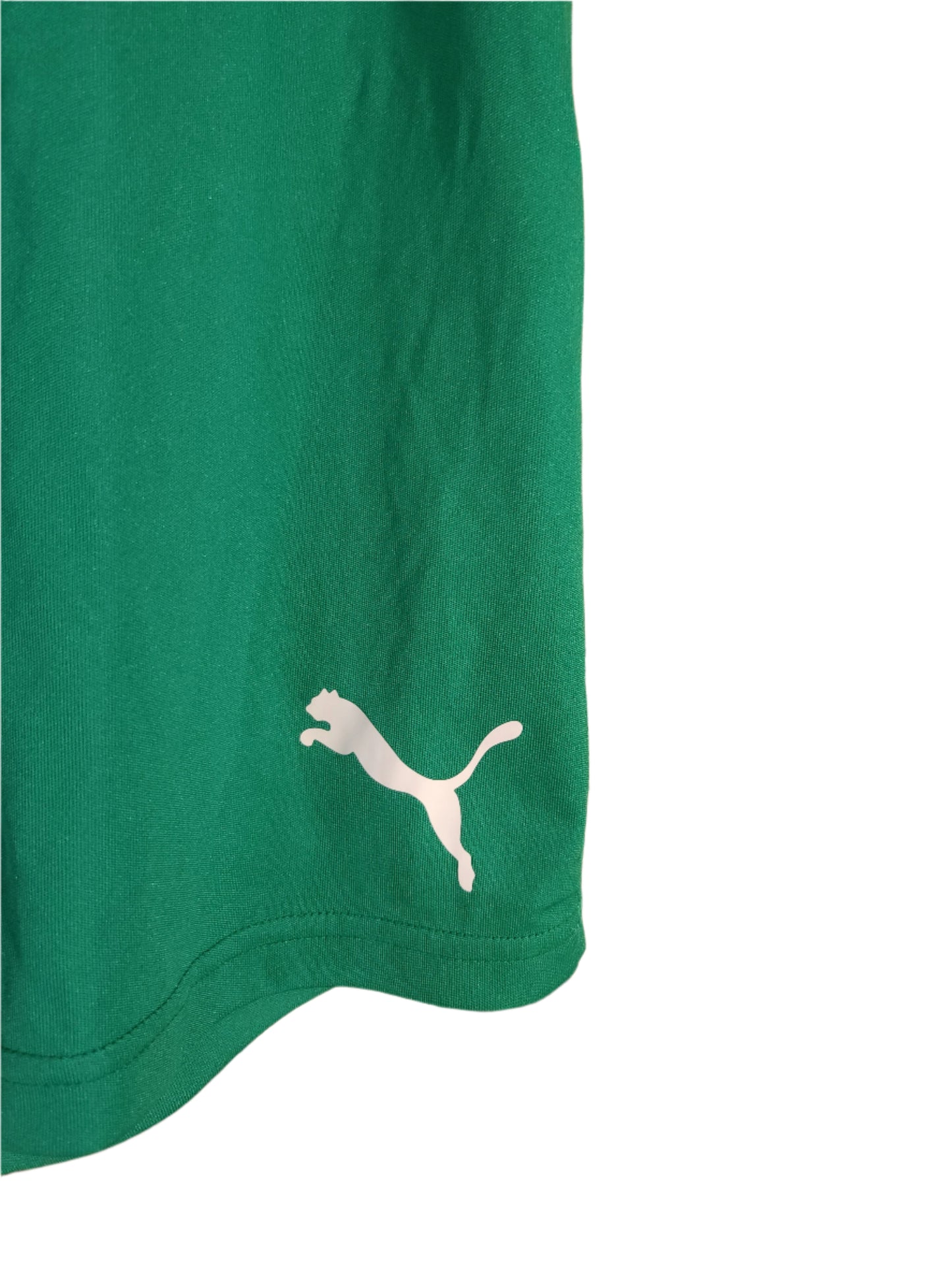 PUMA Шорти/Мъжки L