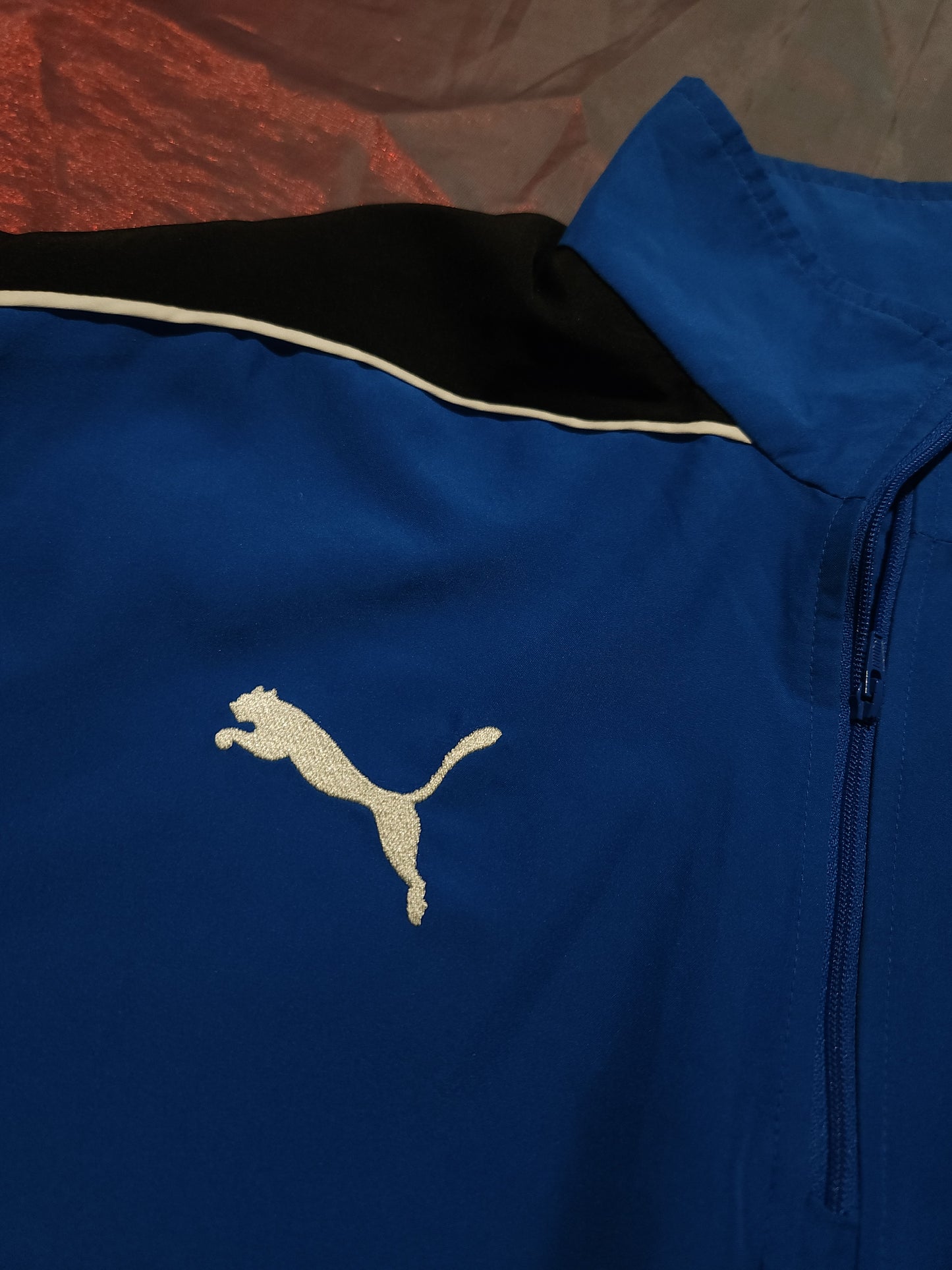 Puma Ветровка/Мъжка М