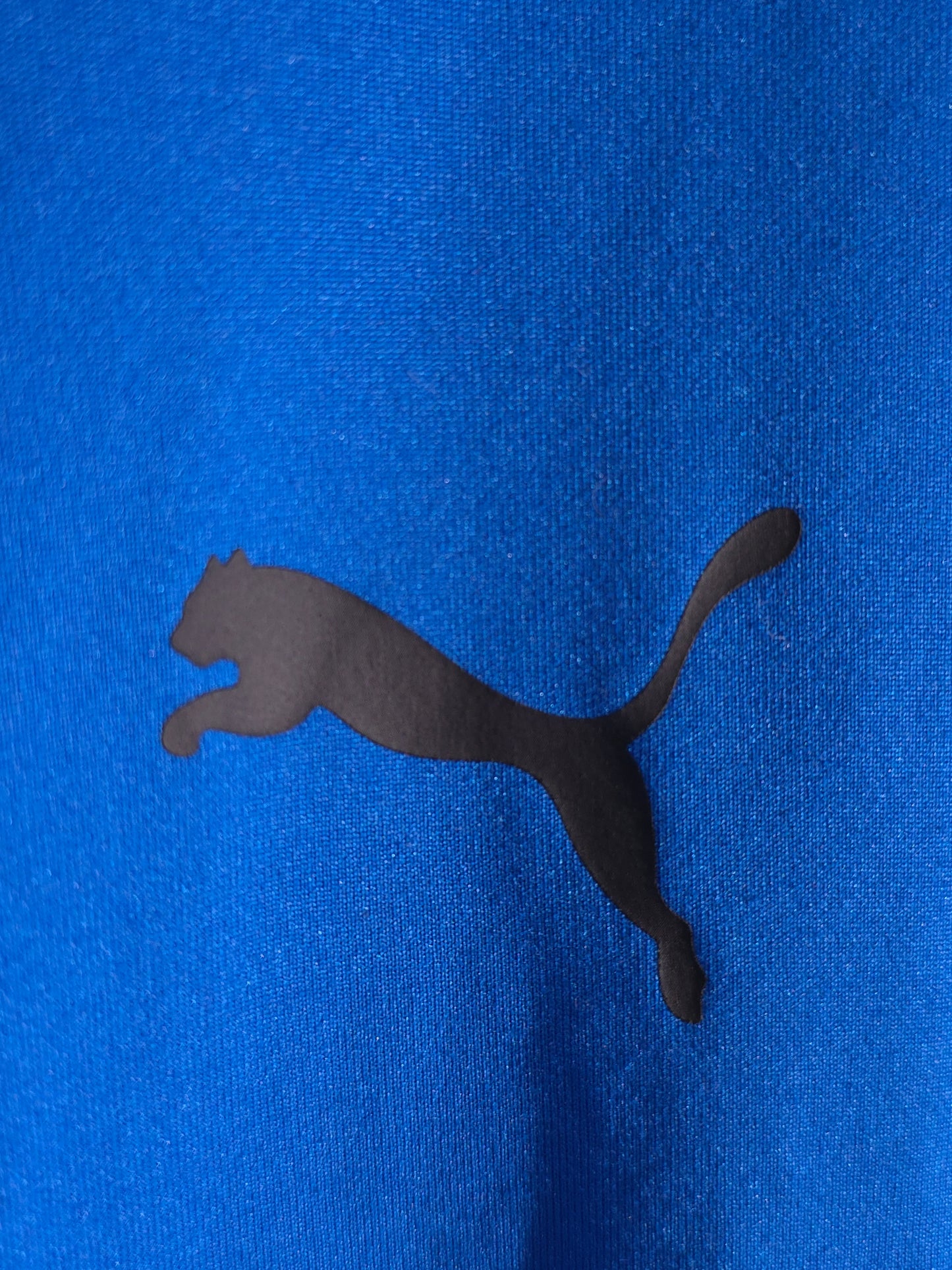 Puma Тениска/Мъжка М